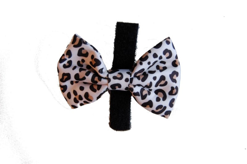 Bow tie Leopard