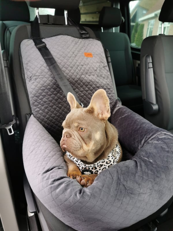 Luxe honden autostoel grijs