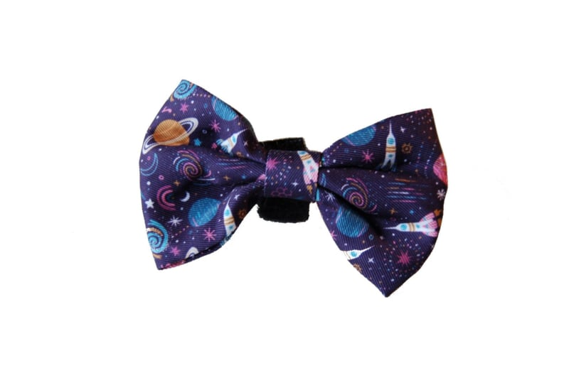 Bow tie Spacedog
