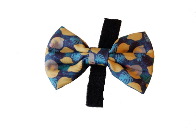Bow tie Juicy lemon