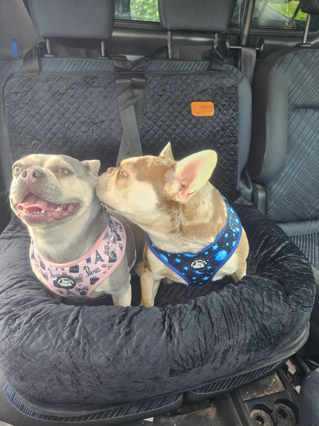 Luxe honden autostoel zwart XL