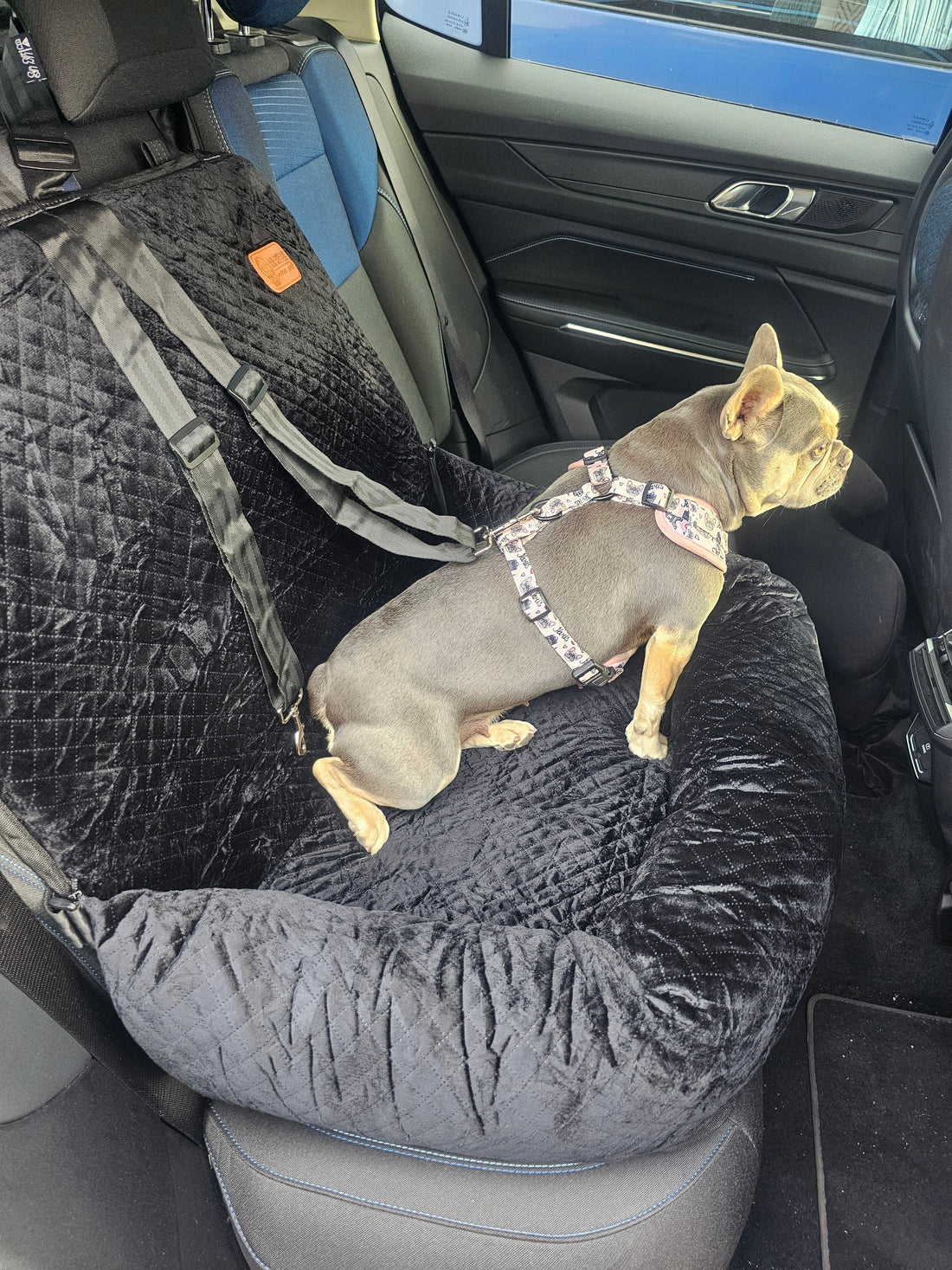 Luxe honden autostoel zwart XL