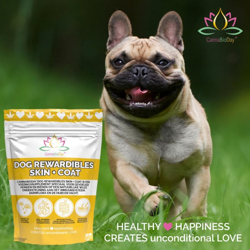 Dog Rewardables Skin + Coat