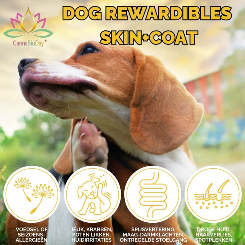 Dog Rewardables Skin + Coat