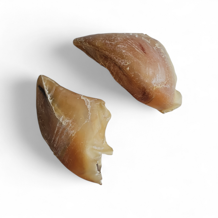 Runderhoeven 6 stuks