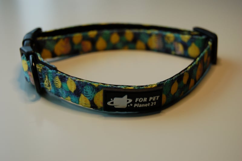 Juicy Lemon Collar