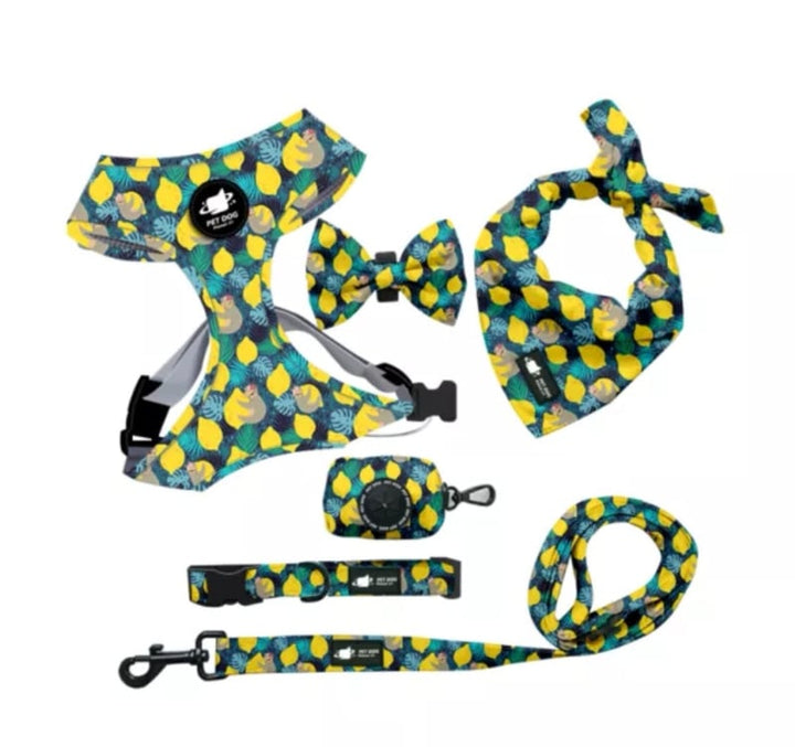 Juicy Lemon 6-piece breastplate