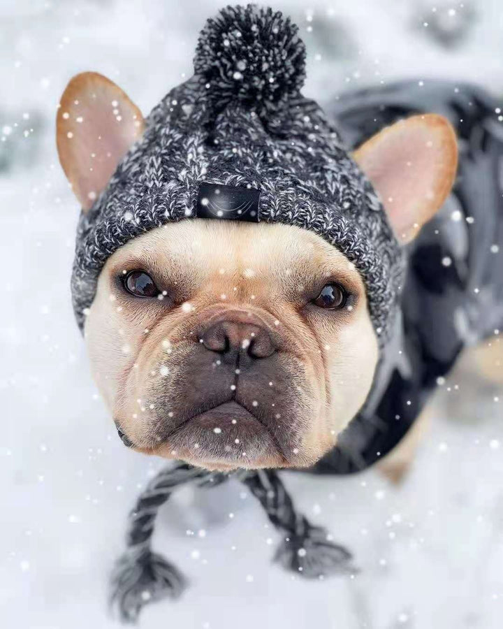 warme wintermuts