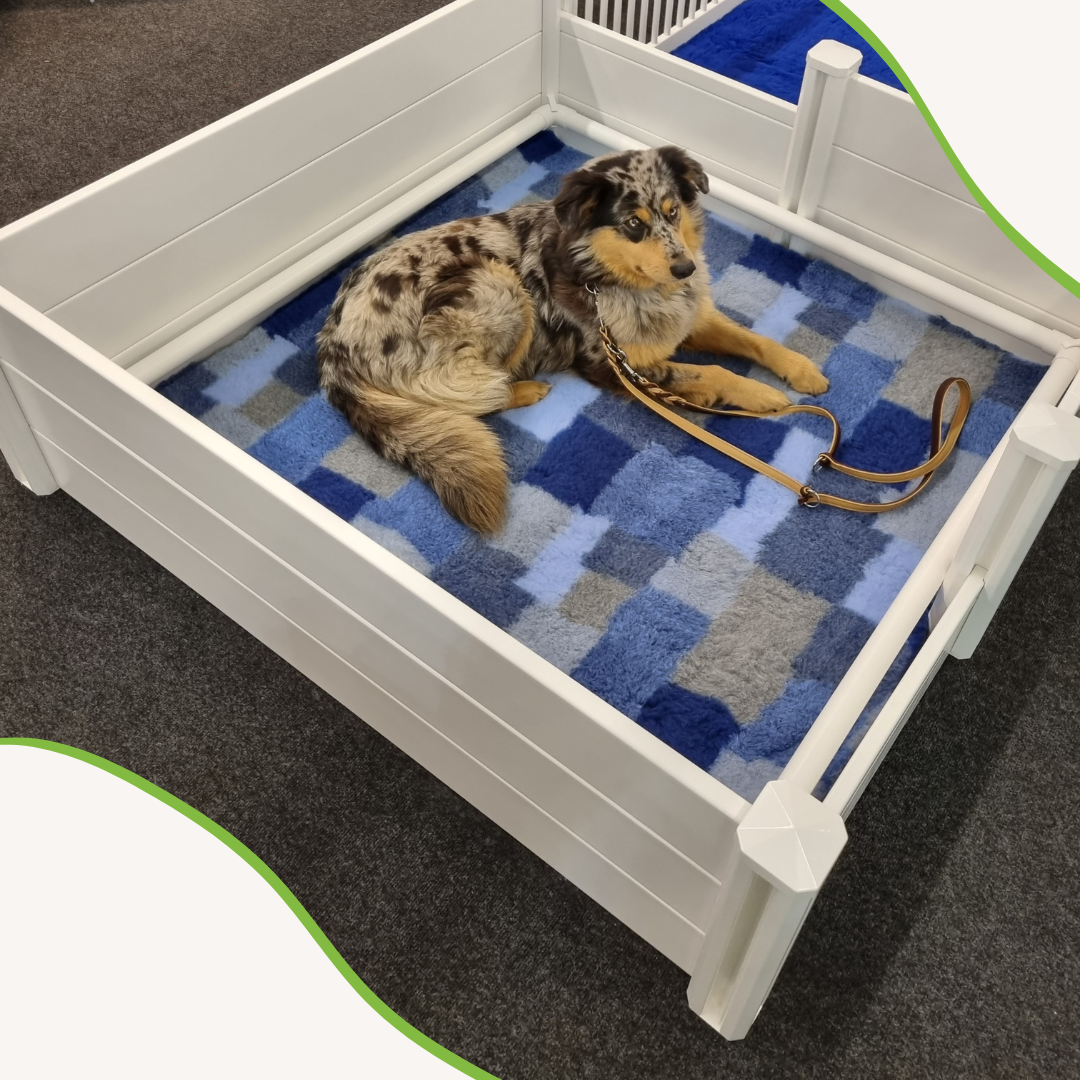 TOPMAST WERPKIST + UITLOOPREN - Maat M: 190 x 95 x 46 cm