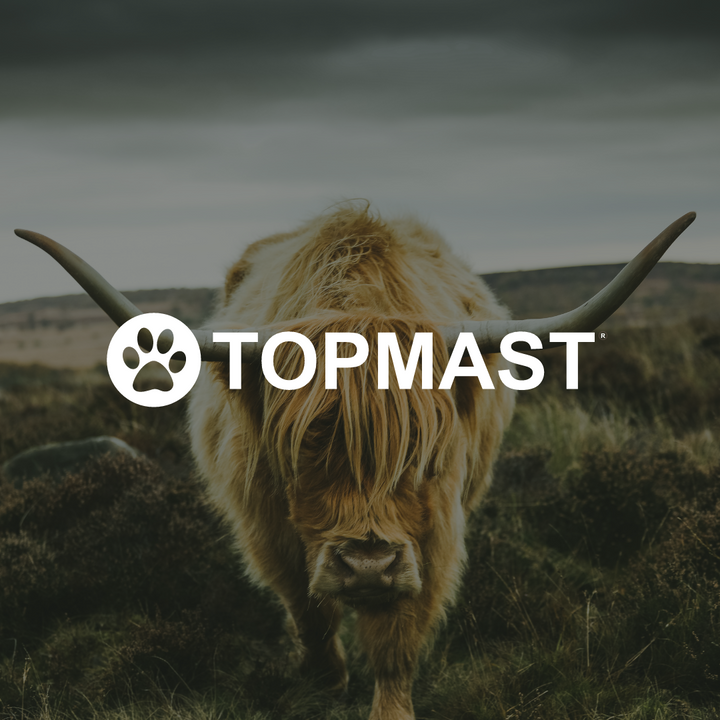 Yakstaaf Yakbot Yakkaas